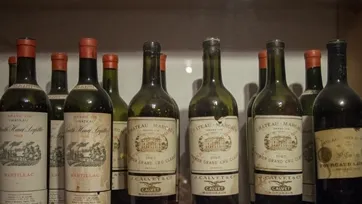 vino