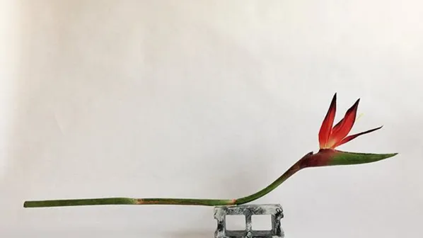 Freakebana