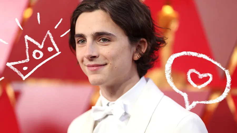 Timothee-Chalamet-Oscar-