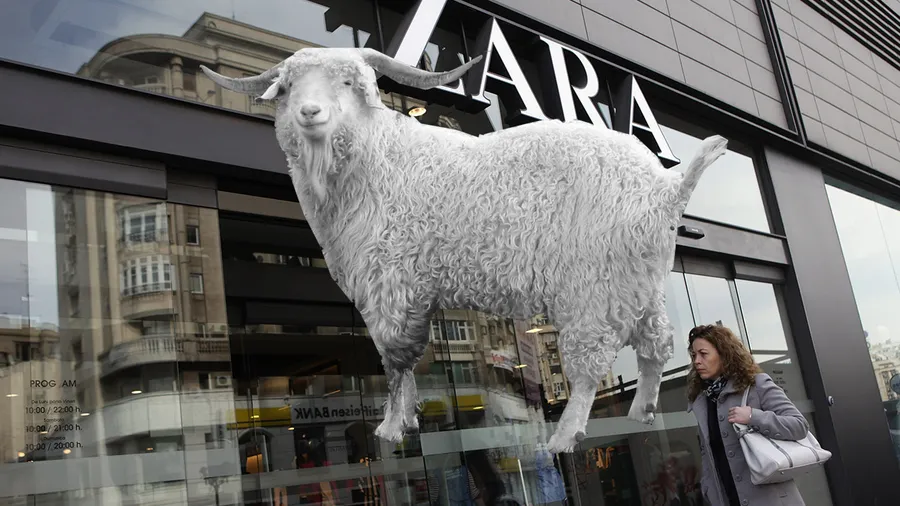 Zara-Cabra