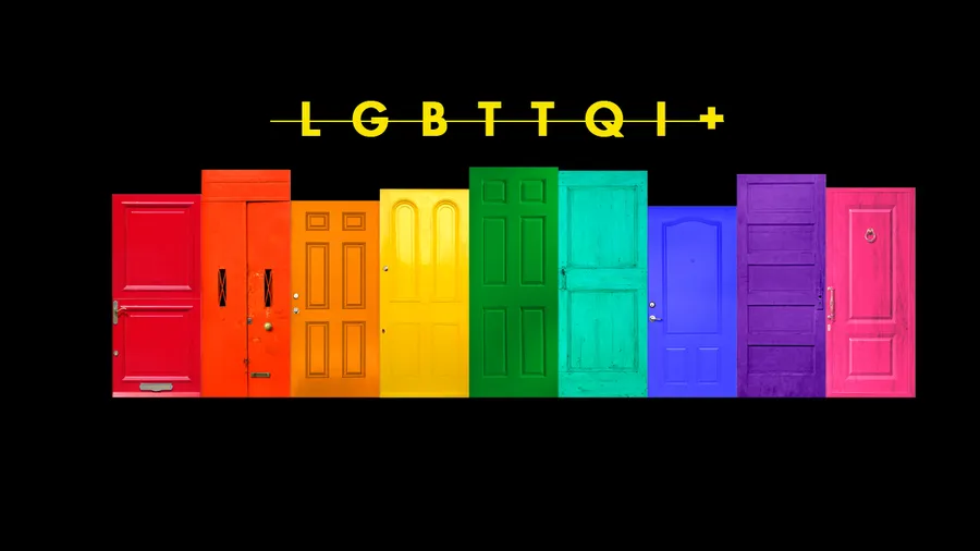 LGBTQI-GLOSARIO