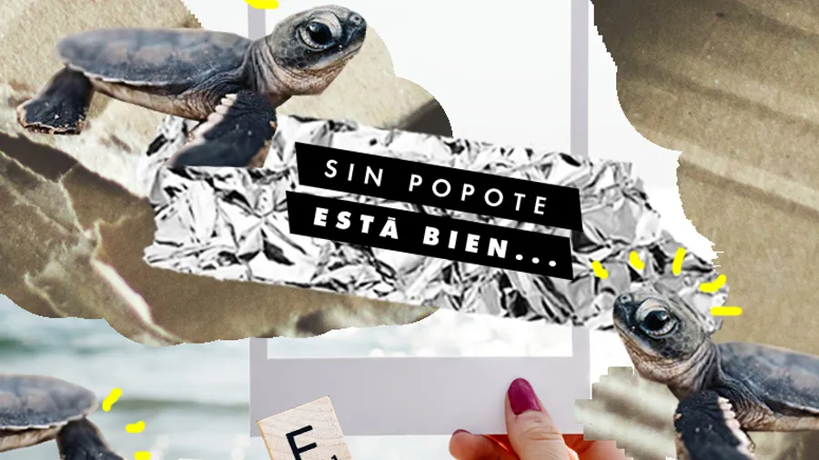 Sin-Popote-Por-Favor