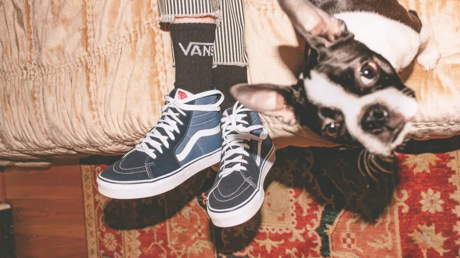 Vans-Classics