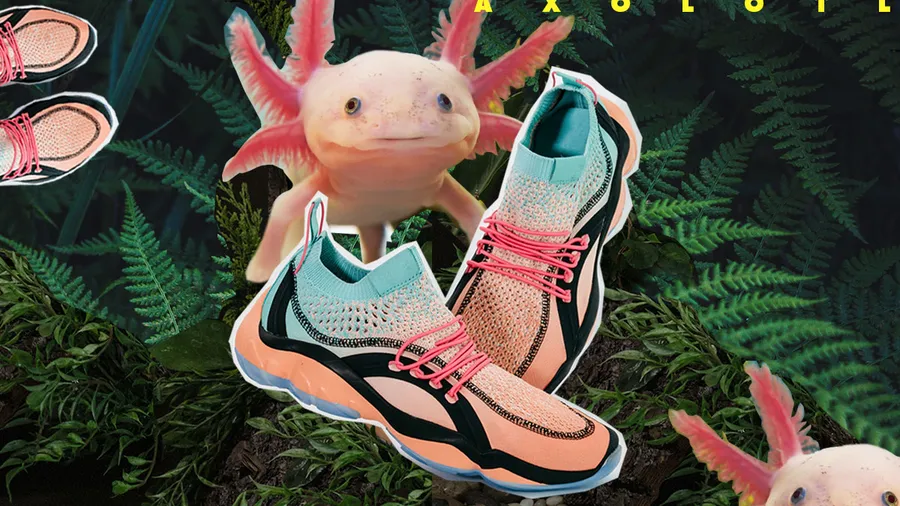 axolotl 2