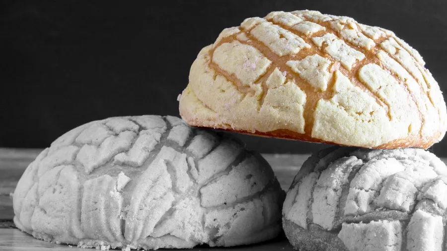 Conchas