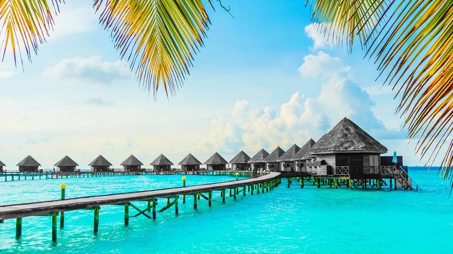 honeymoon-elle-destacada