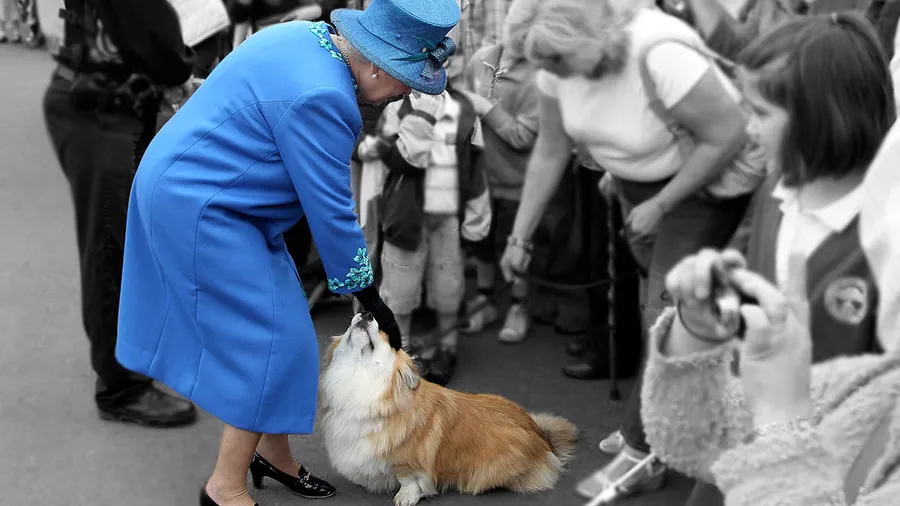 queen-elizabeth-cogis-royals-perros-reales