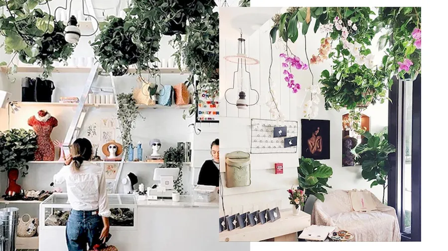Concept-Stores
