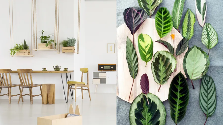 Las 5 tendencias que debes intentar en decoración para 2018