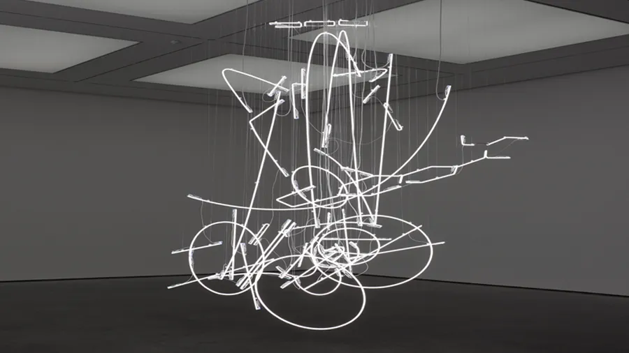 Neon-Museo-Tamayo