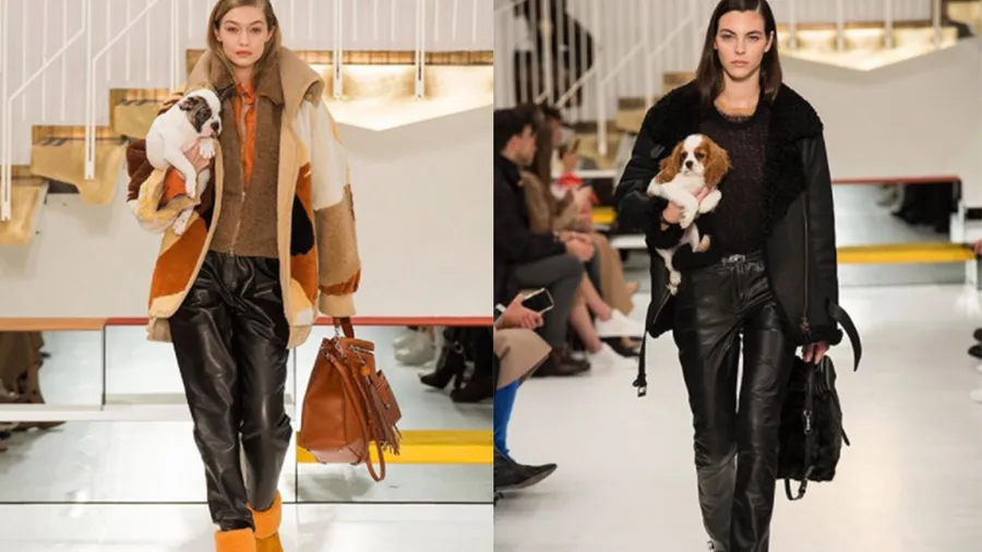 Tod's-Destacada