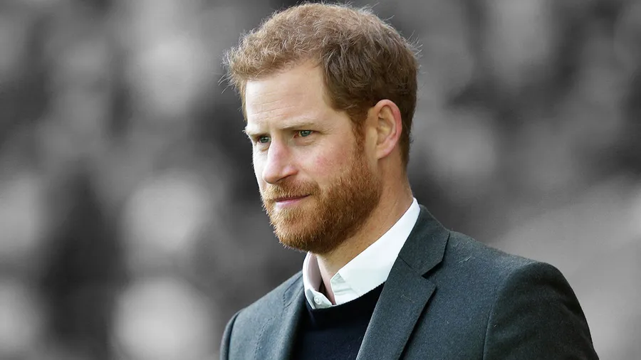 Prince-Harry-Protocolo-Fan-Beso