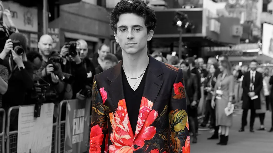 Timothee-Chalamet-Harry-Styles-