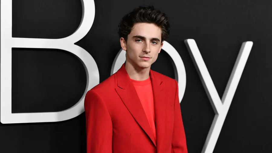 Timothée-Chalamet-troye-sivan
