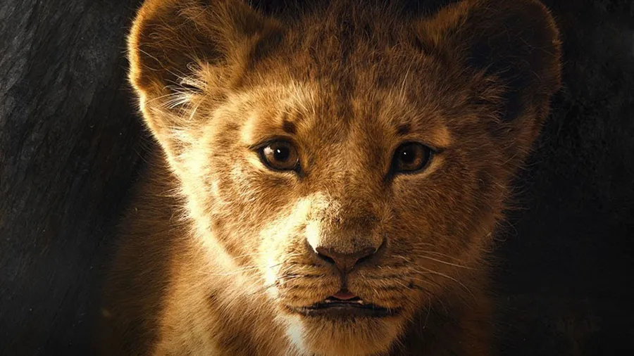 The-lion-king-live-action