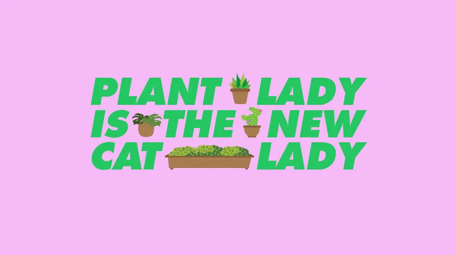 plant-lady-nueva-cat-lady-plantitas