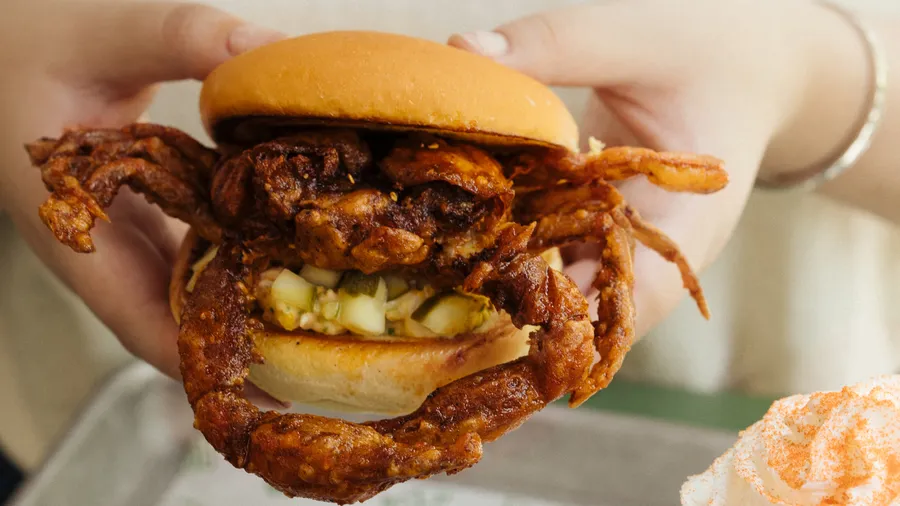 Lucho Martínez x Shake Shack