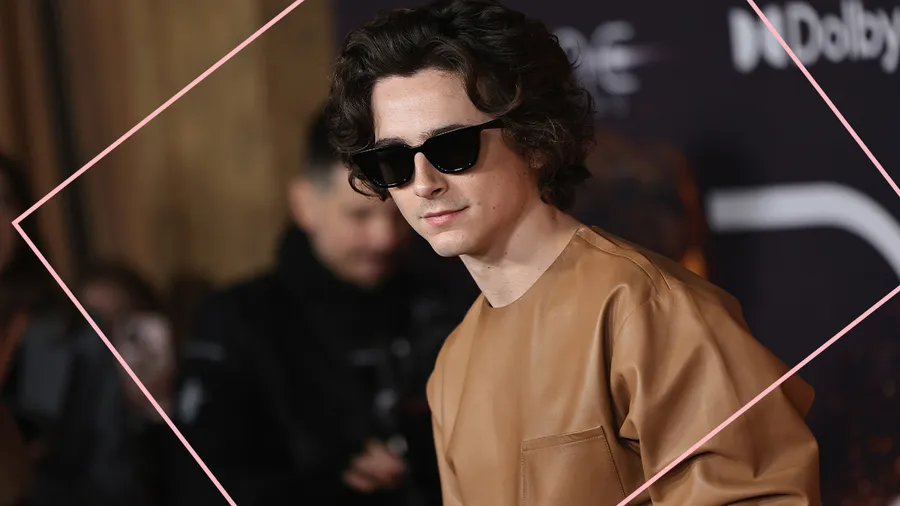 Timothée Chalamet firma nuevo contrato con Warner Bros.