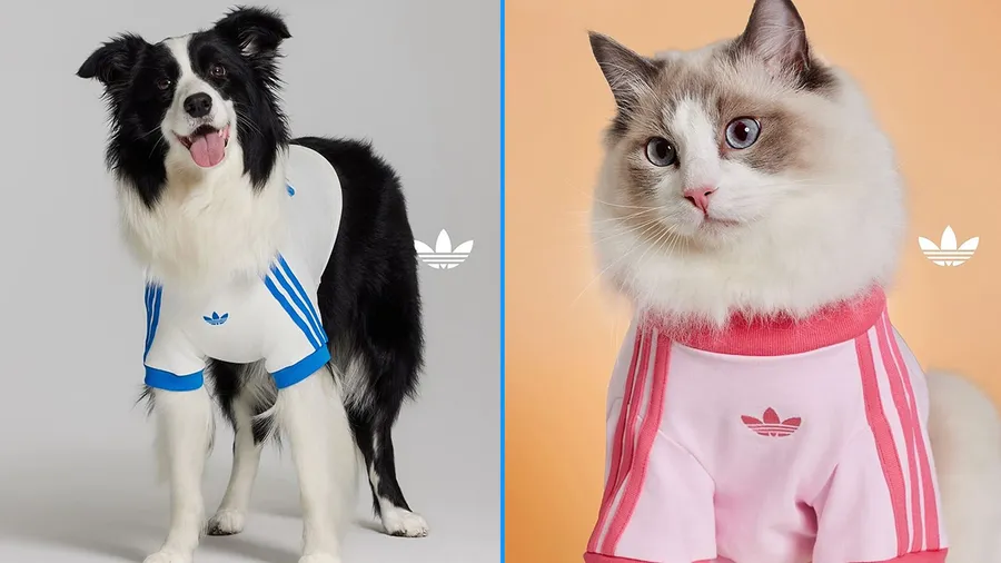 adidas Originals lanza una colección para mascotas