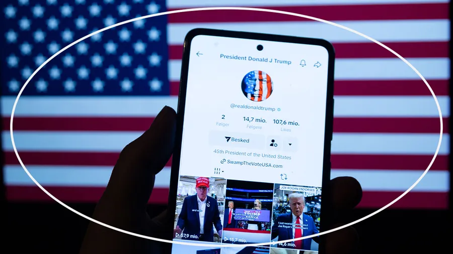 TikTok Estados Unidos