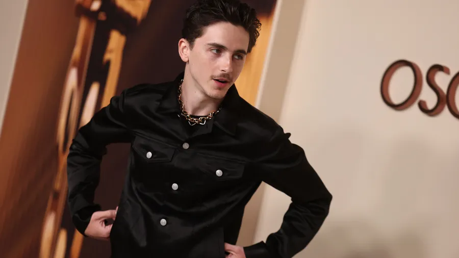 timothee chalamet gap