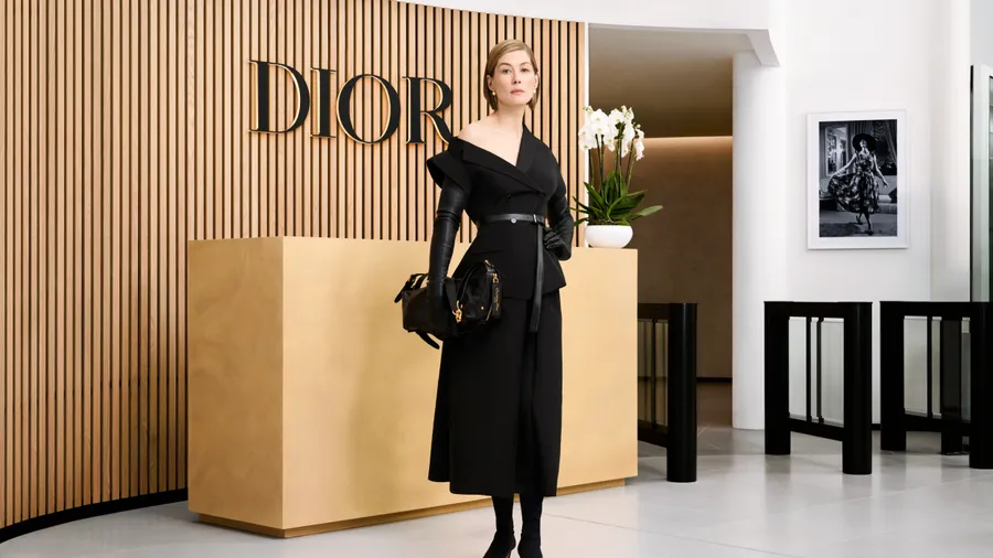 dior d-journey bolsa Rosamund Pike