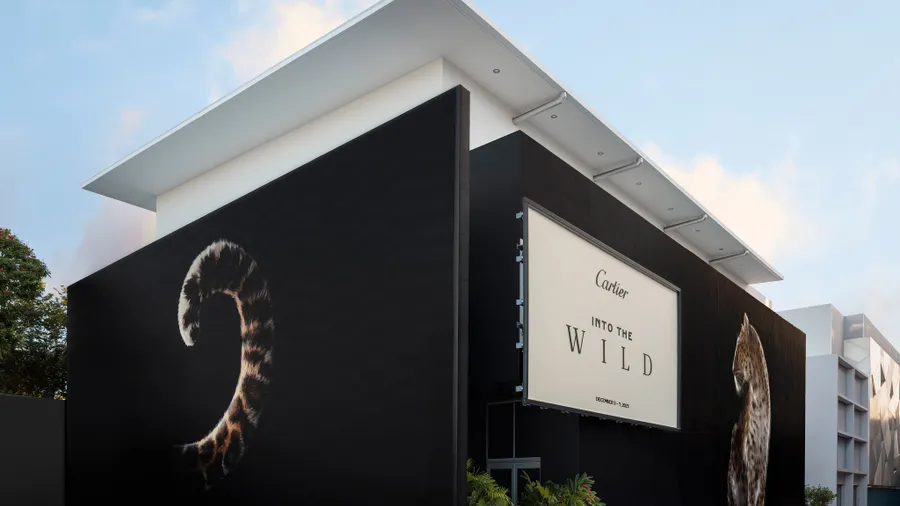Cartier Into the Wild