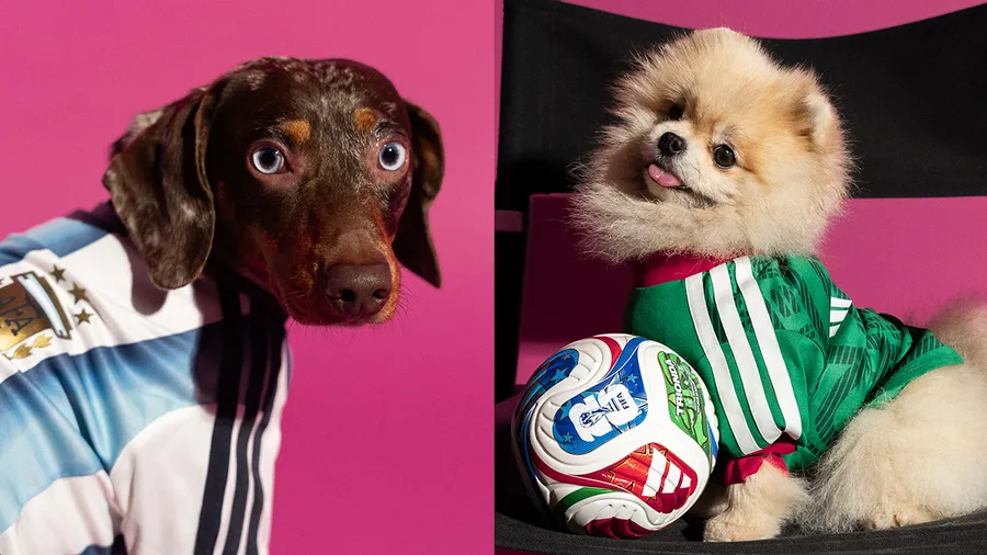 ¡Ponle la verde a tu perrito! adidas lanza jerseys mundialistas para los peludos