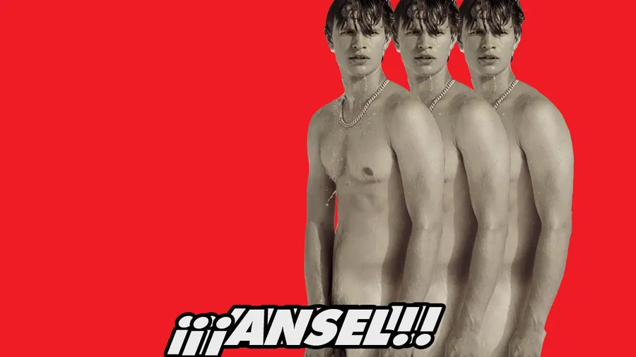 ANSEL-ELGORT-NUDE