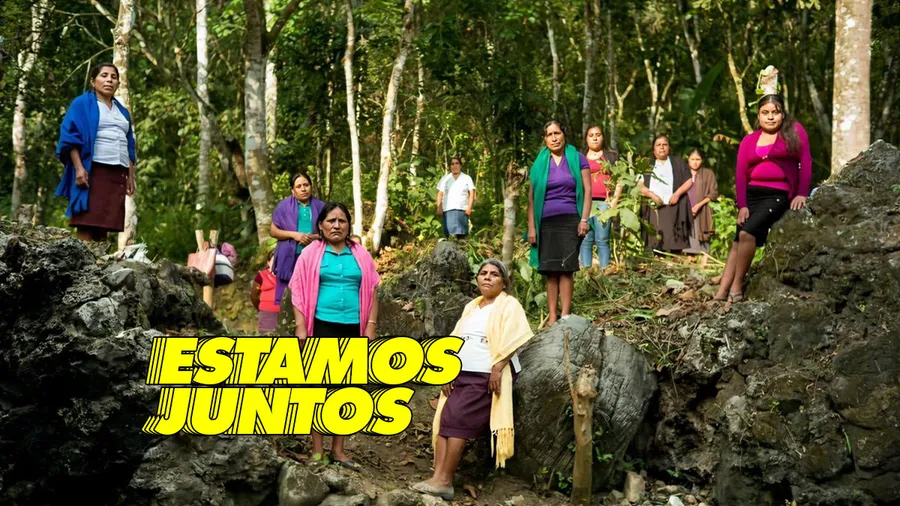 Ikea-comunidades-indigenas