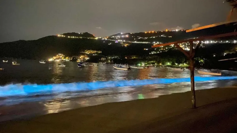 acapulco-bioluminiscencia-