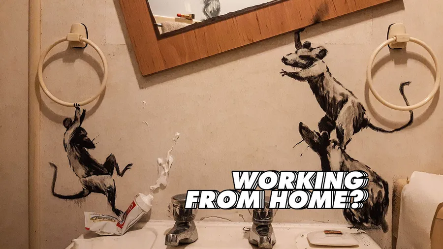 bansky-home-office-home-casa