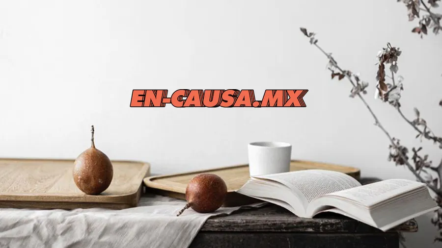 en-causa-diseñadores-mexicanos