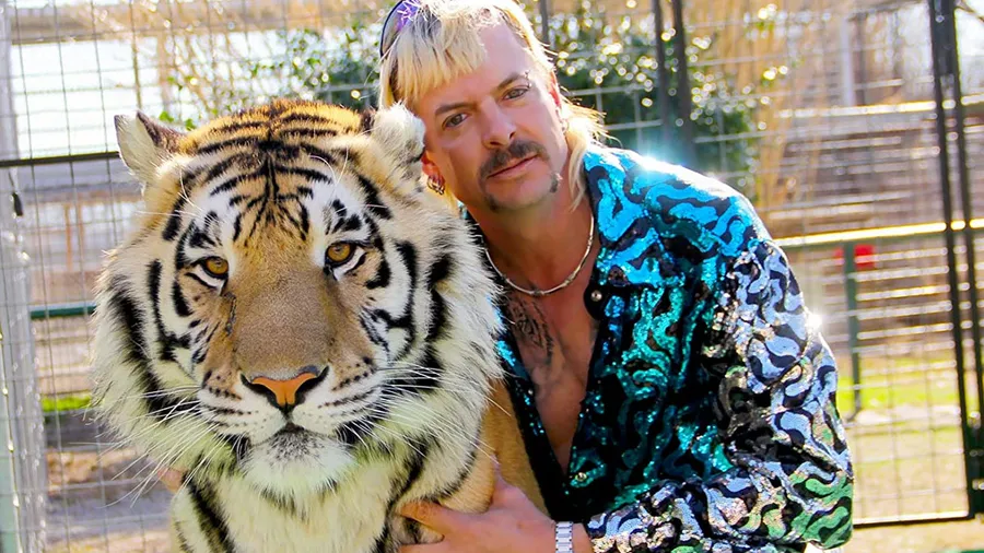 tiger-king