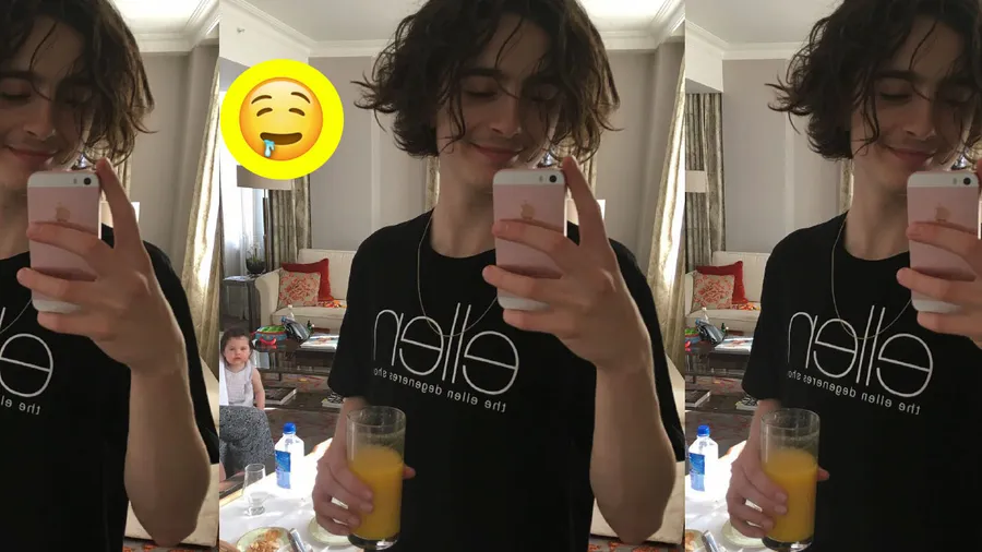 Timothée-Chalamet--refrigerador