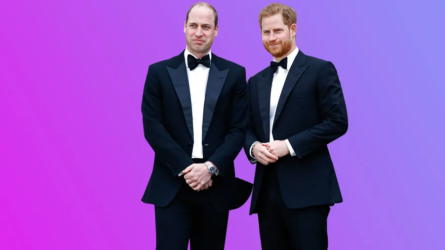William-y-Harry--se-reúnen-en-honor-a-Lady-Di