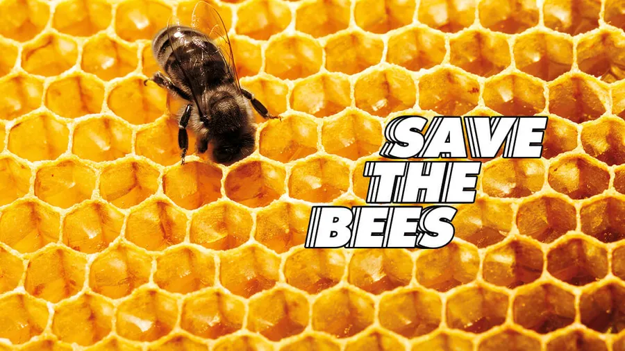 abejas-guerlain-día mundial-miel-skincare-iniciativas-bees copy
