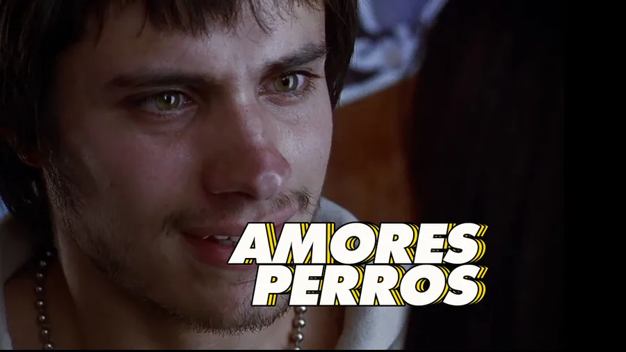 amores-perros-aniversario