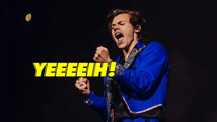 harry-styles-vela