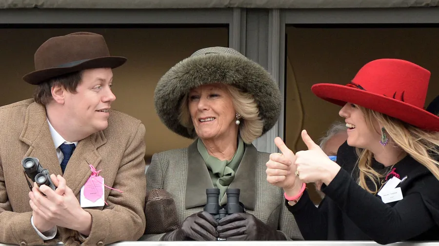 hermanastros-harry-william