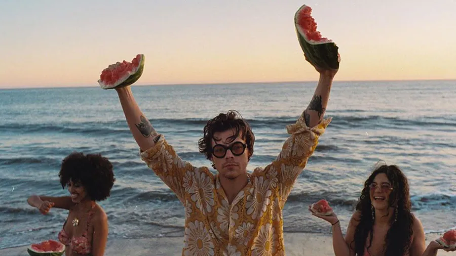harry-styles-paga-fianza