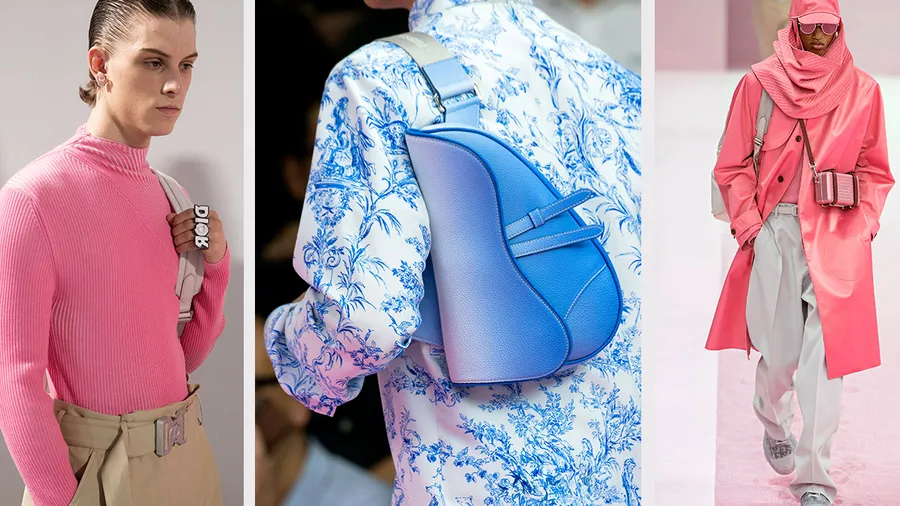 EVLUCION-BOLSO-DIOR