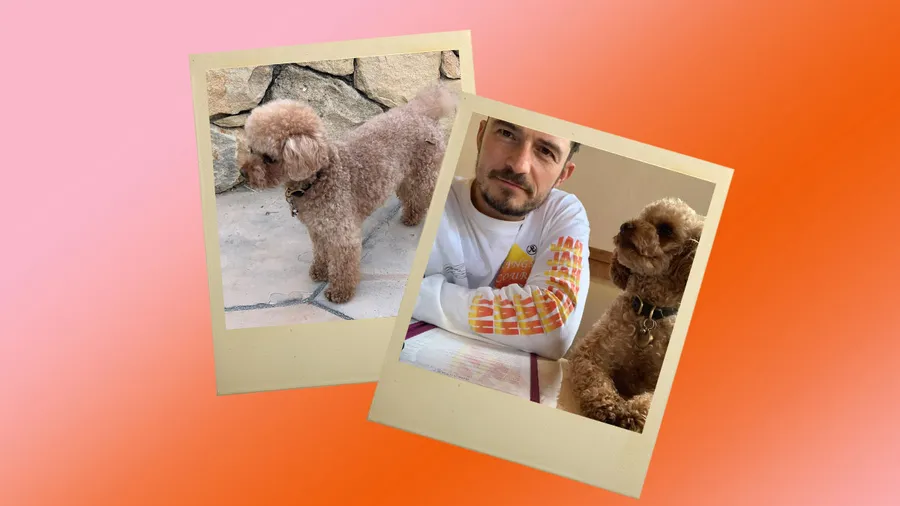 Orlando Bloom y Mighty.