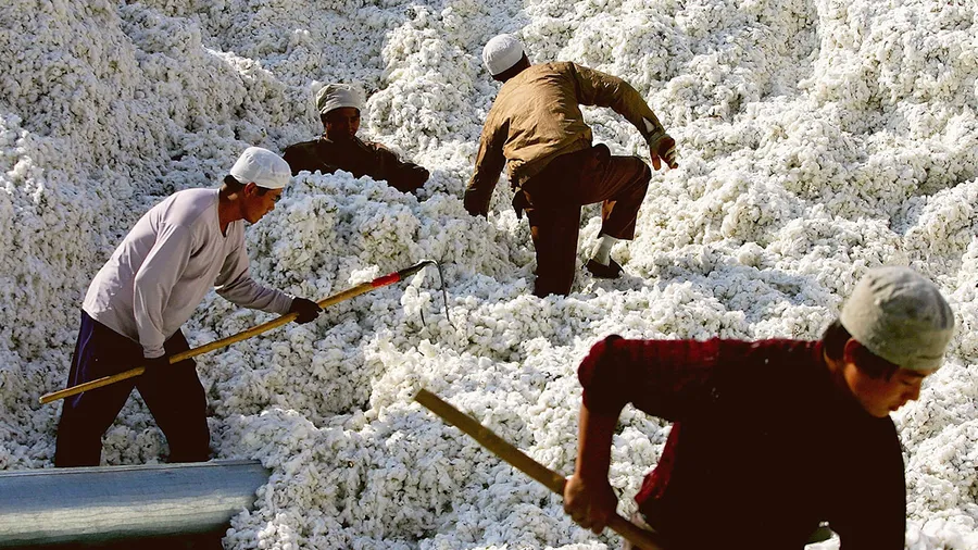 Foto: GettyImages
