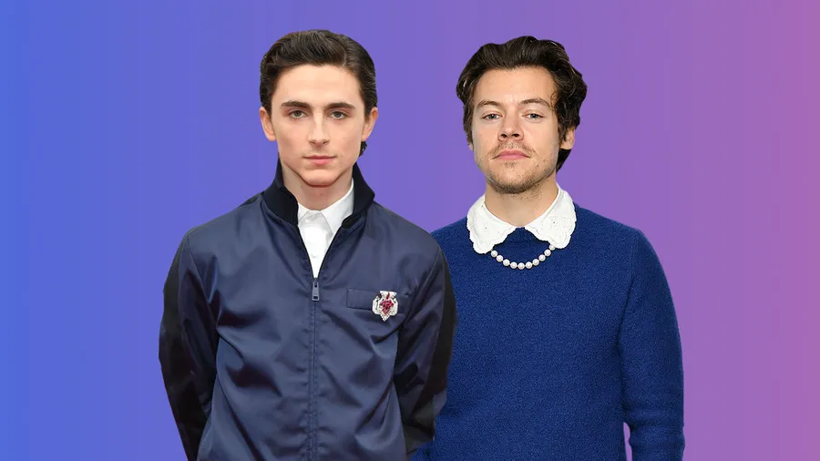 joyas-timothee-harry-styles