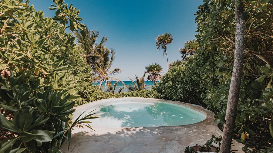 papaya-playa