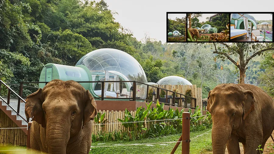Anantara Golden Triangle Elephant Camp & Resort en Tailandia.