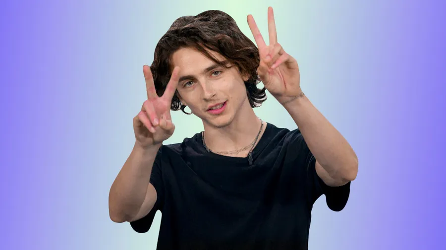 Foto: GettyImages, Timoth´é Chalamet
