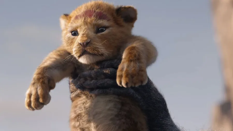 La secuela de El Rey León es un hecho y será del director de Moonlight