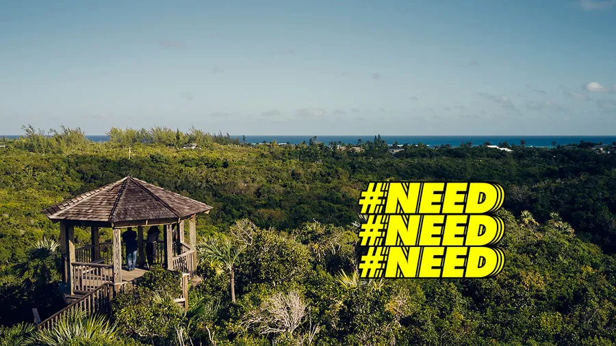 bahamas-airbnb-sabatico-concurso